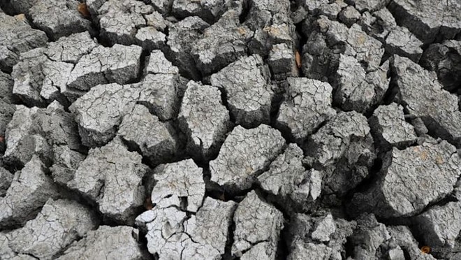 Hiện tượng El Nino có thể gây cú sốc mới cho thị trường hàng hóa