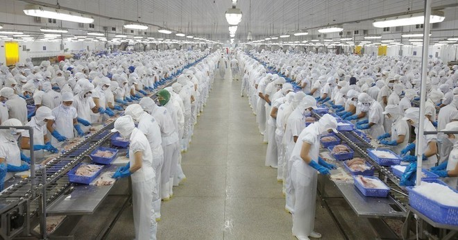 Doanh thu Vĩnh Hoàn (VHC) giảm 10% trong tháng 7/2026