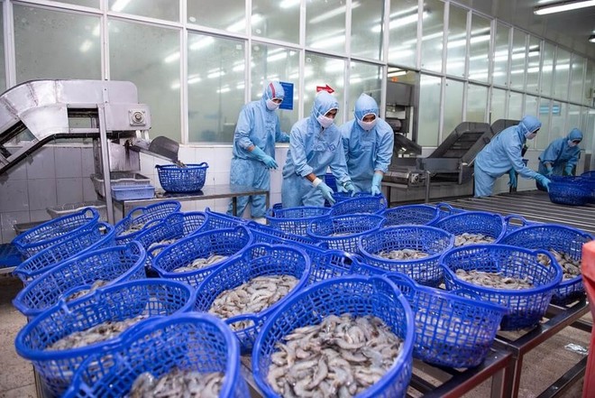 Thực phẩm Sao Ta (FMC): Doanh số tháng 9 giảm 15% về 23,28 triệu USD