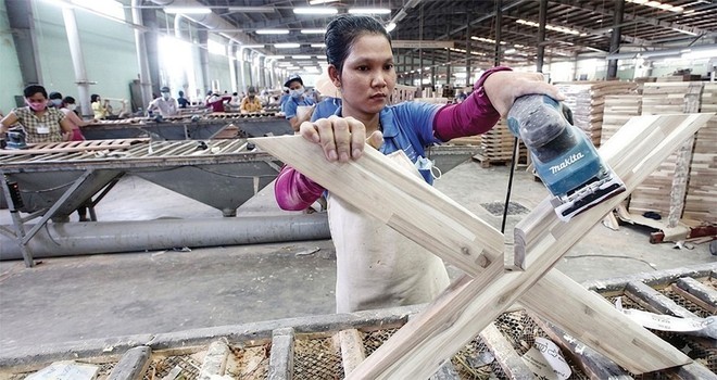 Cổ phiếu Gỗ Trường Thành (TTF) vào diện hạn chế giao dịch