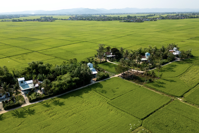 Những ngôi nhà an toàn được ADB và Chính phủ tài trợ được xây dựng lại trong chiến dịch Quang Trung tại khu phố Đông Thạnh, phường Đông Hòa tỉnh Đắk Lắk. Ảnh: Trần Việt Tuấn/ADB
