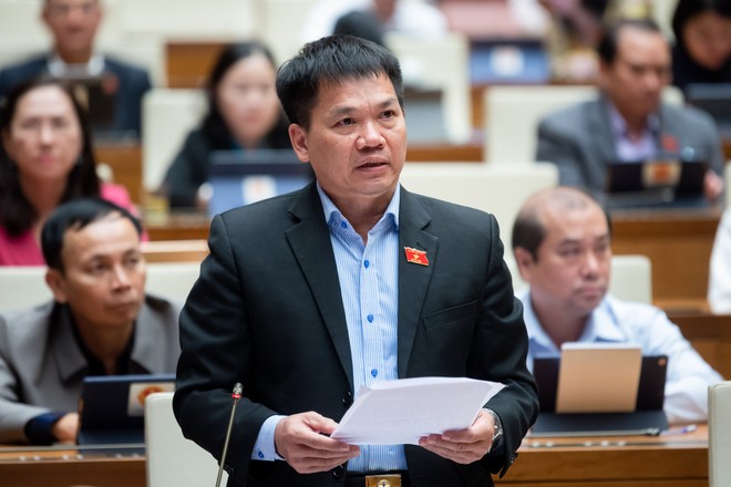 ĐBQH Dương Khắc Mai cho rằng bất động sản, chứng khoán, ngân hàng... đang rất khó khăn nhưng không được giảm VAT. 