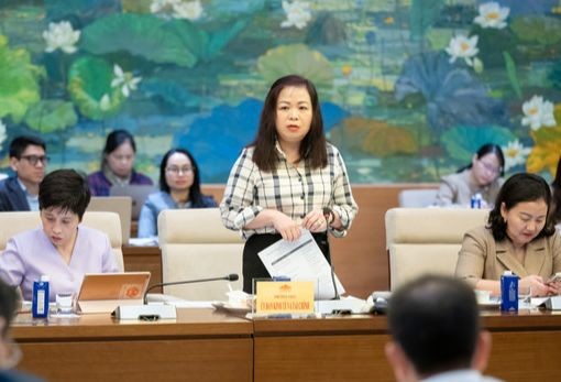 Bà Vũ Thị Lưu Mai, Phó Chủ nhiệm Ủy ban Kinh tế, Tài chính của Quốc hội phát biểu tại phiên họp.