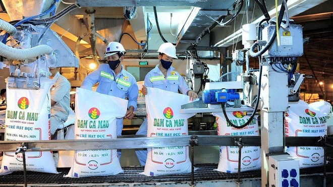 Nếu nghị định về miễn thuế xuất khẩu 3 loại phân bón được thông qua, DCM có thể ghi nhận thêm hơn 200 tỷ đồng lợi nhuận/năm, do không phải nộp thuế.