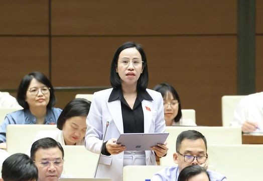 Đại biểu Võ Ngọc Thanh Trúc (đoàn TPHCM) thảo luận về dự án Luật Nhà ở (sửa đổi) chiều 28/10.