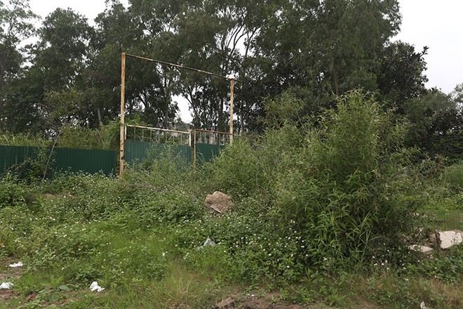 Cỏ hoang, rác thải... ngập quá đầu người trong khu đô thị Thịnh Liệt