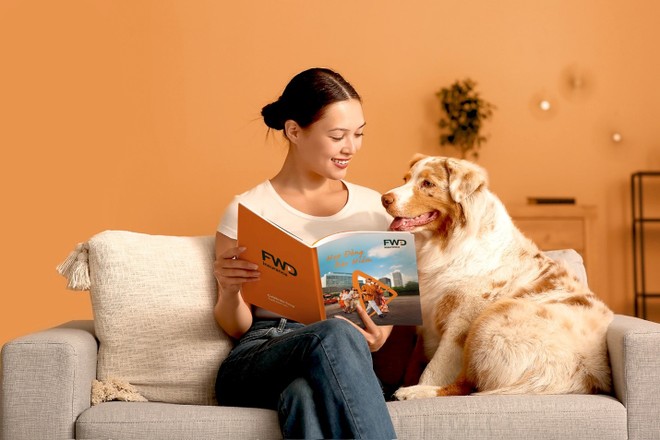 Bố cục của bộ hợp đồng cũng được điều chỉnh rõ ràng, giúp khách hàng dễ dàng tiếp cận, dễ tra cứu khi tìm hiểu thông tin.