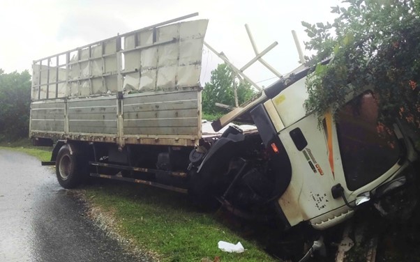 Chiếc xe mất phanh và đâm vào taluy đường và bị hư hỏng nặng