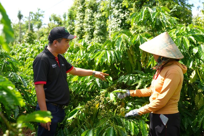Cán bộ của chương trình NESCAFÉ Plan tập huấn và hỗ trợ các nông hộ thực hiện các phương pháp canh tác bền vững