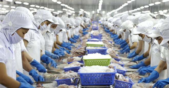 VHC: Đại diện quỹ ngoại rút khỏi HĐQT, xuất khẩu tháng 9 tăng nhẹ so với cùng kỳ