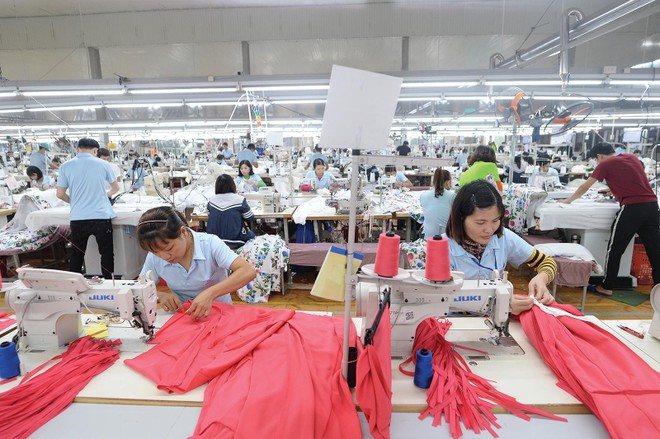 May Sông Hồng (MSH) duy trì hiệu quả cao, nền tảng tài chính vững mạnh