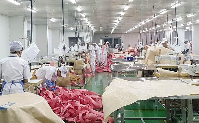 Dây chuyền sản xuất của Nhựa An Phát Xanh - công ty con của Tập đoàn An Phát. Ảnh: Đức Thanh