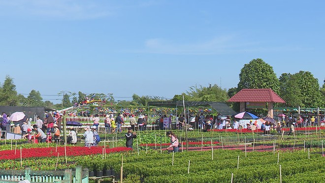 Đông đảo du khách trong và ngoài nước tham quan, trải nghiệm Làng hoa Sa Đéc của anh em Hội quán "Cùng nhau làm du lịch" tại Thành phố Sa Đéc, tỉnh Đồng Tháp