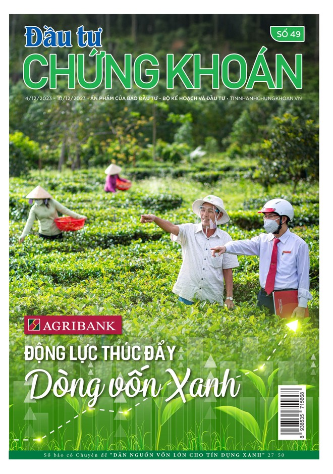 Báo Đầu tư Chứng khoán số 49