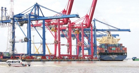 Kể từ khi triển khai hoạt động thu phí cảng biển từ ngày 1/4/2022 đến hết ngày 31/5/2024, TP.HCM đã thu được 4.717 tỷ đồng. Ảnh: Anh Quân