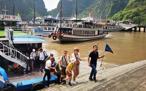 6 tháng đầu năm 2024, ngành dịch vụ sôi động hơn cả với hơn 60.000 doanh nghiệp mới