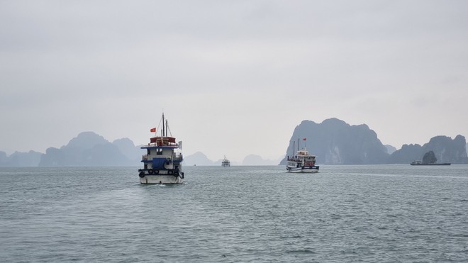 Quảng Ninh bàn giải pháp nâng tầm du lịch tại vịnh Bái Tử Long 