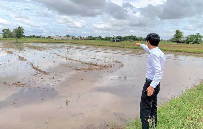 Một nhân viên môi giới đang giới thiệu “đất sào” với khách.