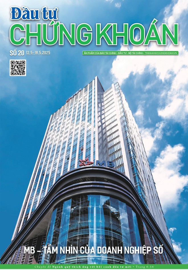 Báo Đầu tư Chứng khoán số 20