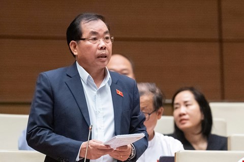 Đại biểu Nguyễn Quang Huân phát biểu tại hội trường. 