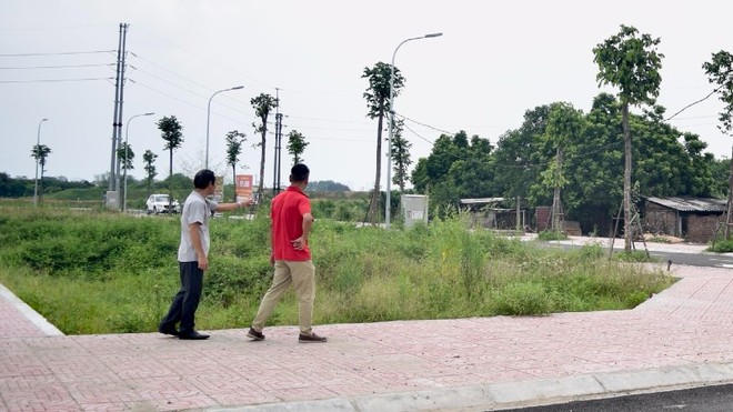 Phân khúc đất nền được nhiều nhà đầu tư quan tâm trong giai đoạn quý I/2025. Ảnh: Thanh Vũ