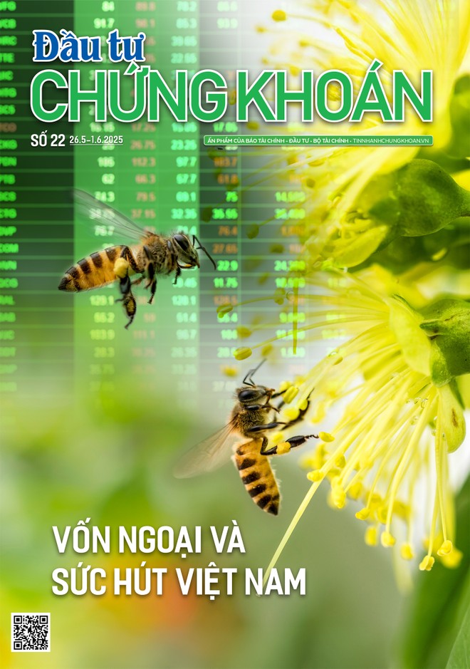 Báo Đầu tư Chứng khoán số 22