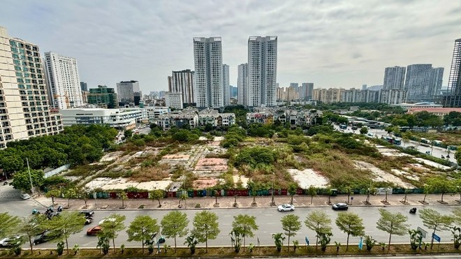 Cơ sở dữ liệu về thị trường sẽ là yếu tố then chốt để các chính sách thuế bất động sản triển khai hiệu quả. Ảnh: Thanh Vũ