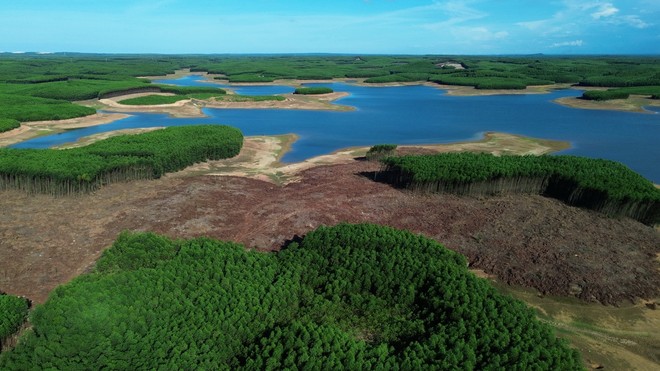 Quảng Trị chấm dứt dự án đầu tư của Công ty Sâm Cầm 