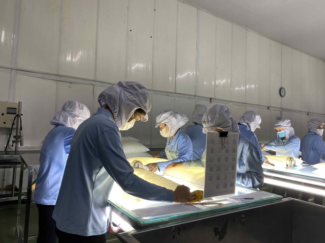 Đầu tư phát triển bền vững mang lại nhiều lợi thế cho doanh nghiệp trong hoạt động xuất khẩu hiện nay.