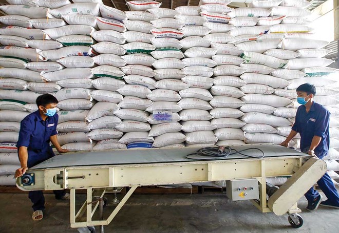 Gạo chất lượng cao đang chiếm 60 - 70% tổng lượng gạo xuất khẩu của Việt Nam. Ảnh: Đức Thanh 