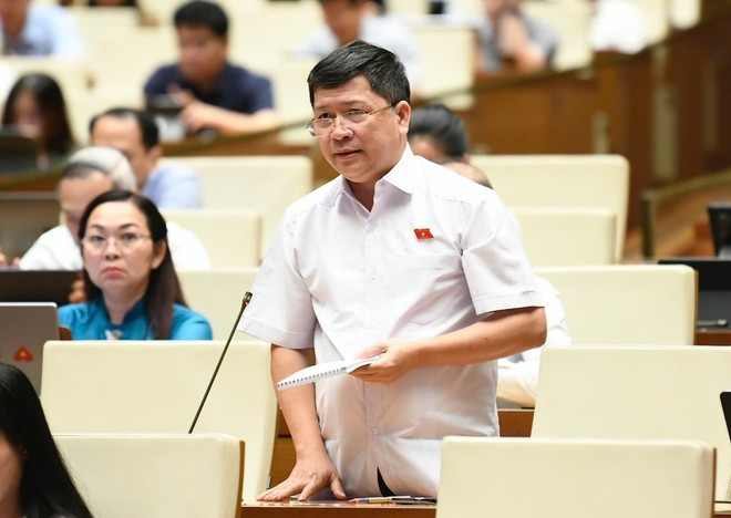 Đại biểu Tạ Văn Hạ (Quảng Nam). 