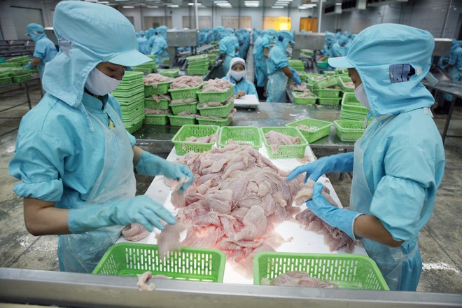 Xuất khẩu tôm, cá tra, gỗ đang phụ thuộc vào chính sách thuế đối ứng của Mỹ 