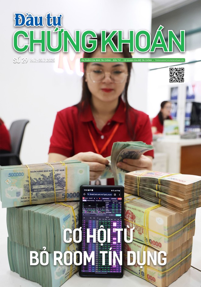 Báo Đầu tư Chứng khoán số 29