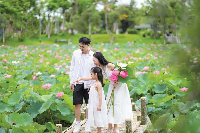 Hồ sen An Nhiên tại Sun World Hạ Long.