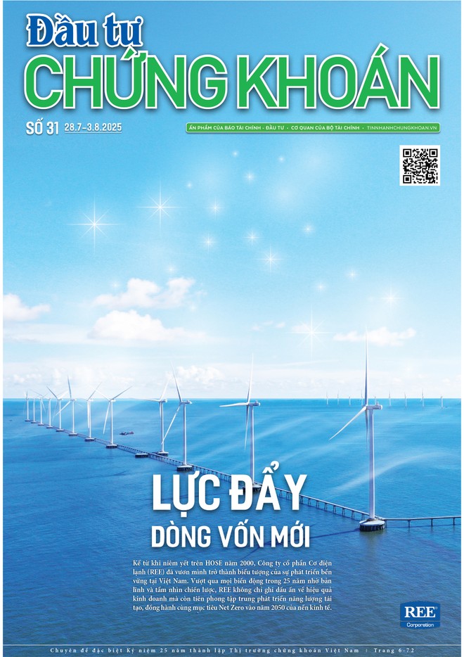 Báo Đầu tư Chứng khoán số 31