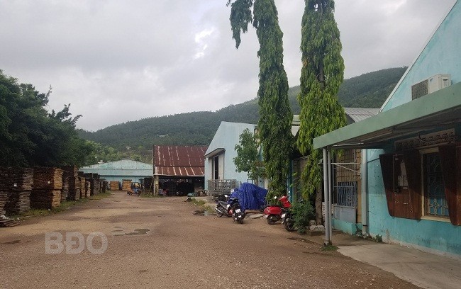 Khu đất thực hiện Dự án Nhà ở xã hội Bông Hồng hiện là Xí nghiệp Chế biến lâm sản Bông Hồng (thuộc Công ty cổ phần Lâm nghiệp 19). Nguồn: BĐO. 