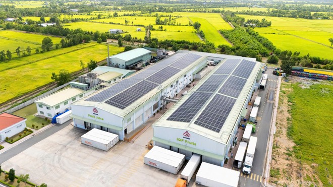 Doanh thu và lợi nhuận đạt kỷ lục mới, Nafoods Group (NAF) khởi công xây dựng dự án Nasoco giai đoạn 2