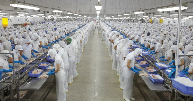 Mỹ là thị trường lớn nhất của Vĩnh Hoàn, đóng góp khoảng 43,8% tổng doanh thu xuất khẩu