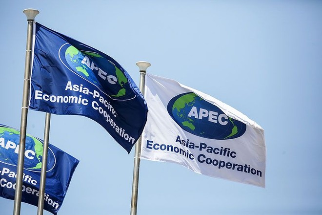 APEC nhấn mạnh vai trò của công nghiệp văn hóa - sáng tạo