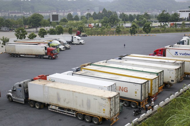 Hoạt động xuất nhập khẩu vẫn nhộn nhịp, thông suốt trong dịp nghỉ lễ Quốc khánh 2/9/2025. 