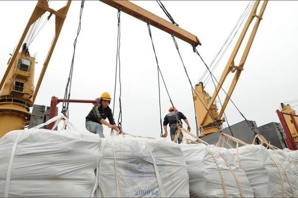 Bộ Công thương đã ban hành 13 Quyết định thu hồi Giấy chứng nhận đủ điều kiện kinh doanh xuất khẩu gạo của thương nhân. 