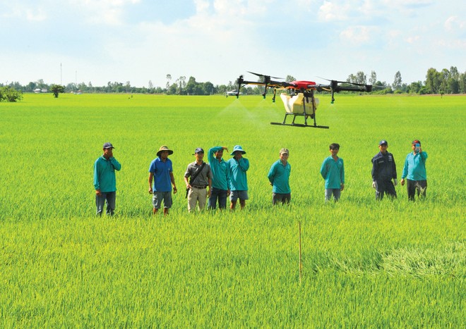 Nông nghiệp Việt đang tạo dựng vị thế vững chắc trên bản đồ nông sản thế giới