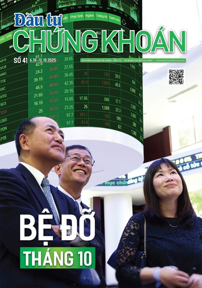 Báo Đầu tư Chứng khoán số 41