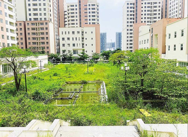 Nhà tái định cư Thủ Thiêm bỏ hoang nhiều năm, cỏ dại mọc um tùm