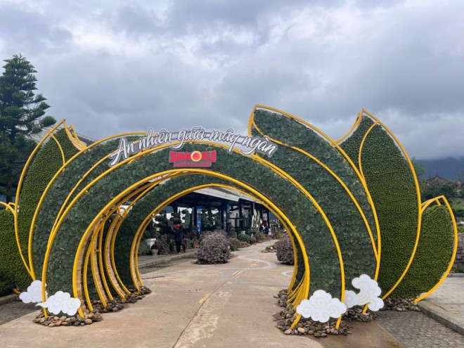 Lễ hội Hoa Sen đá 2025 được tổ chức với mục đích truyền đi thông điệp về "dòng chảy an nhiên" - nơi “tâm” bình lặng, an nhiên giữa dòng đời bất tận.