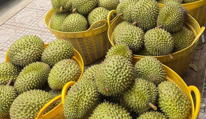 Trung Quốc chi 5,5 tỷ USD nhập khẩu rau quả Việt Nam năm 2025, tăng gần 19% so với năm 2024. 