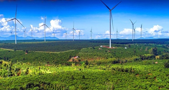 Gia Lai sắp đấu thầu 8 dự án điện gió, 4 dự án điện mặt trời 