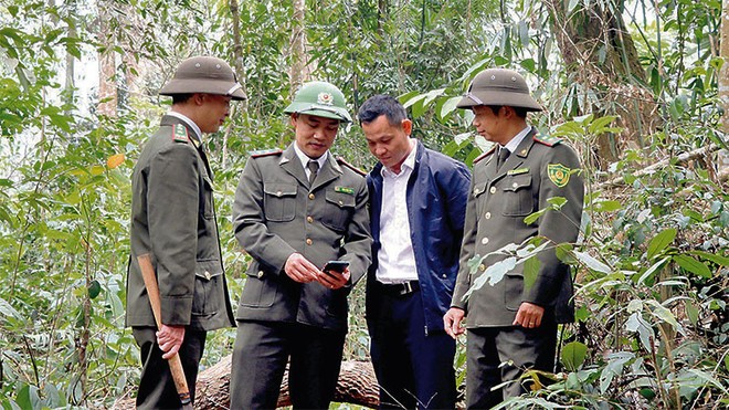 Giám sát hoạt động tuần tra bảo vệ rừng.