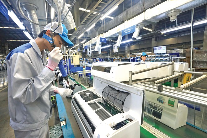 Doanh nghiệp Việt: Thích ứng, trụ vững và vượt lên