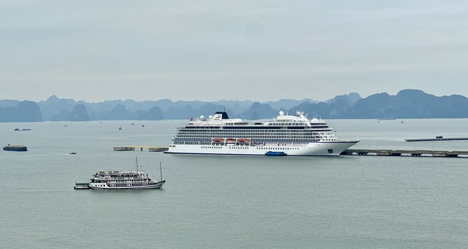 Du lịch tàu biển Quảng Ninh nhộn nhịp, sôi động với sự xuất hiện liên tiếp của các chuyến tàu lớn. Ảnh: Quỳnh Nga